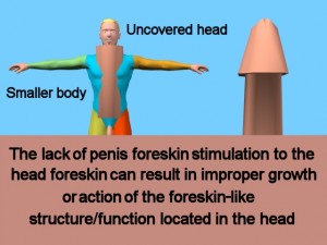 How_Circumcision_Affects_Body-ImproperGrowth