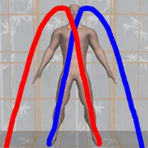 Male_Full_Body_Analysis_14-TheArchView