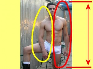 Male_Full_Body_Analysis_18-NormalSizedLeftTesticle