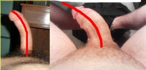 The_Left_Pointing_Penis_Analysis_17-PenisCurvesCompare